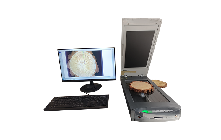 年輪分析系統